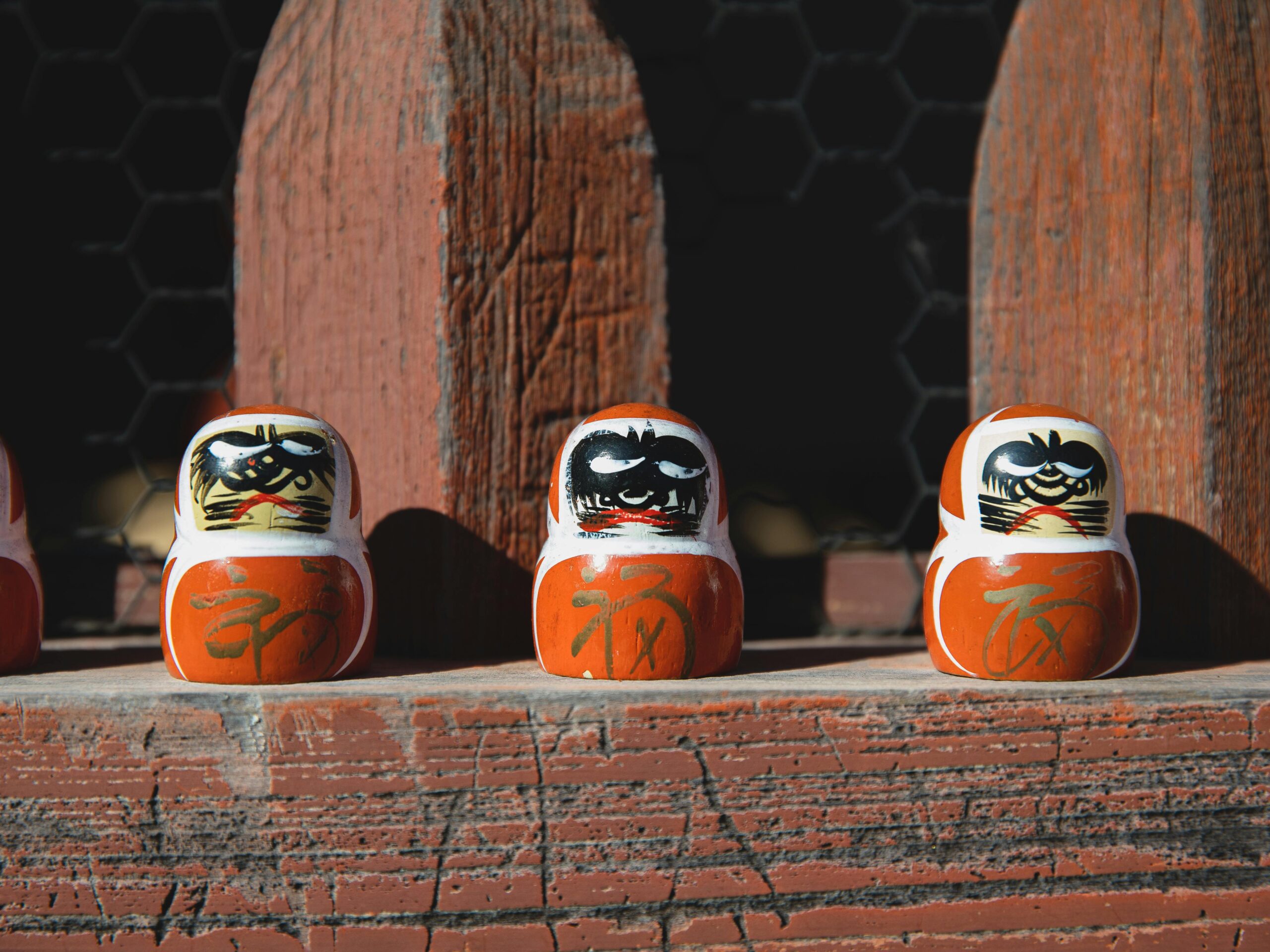 daruma doll