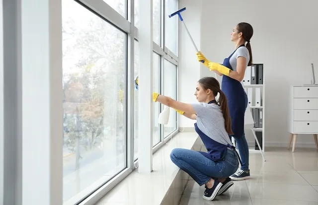 The Benefits of Professional Window Cleaning Services